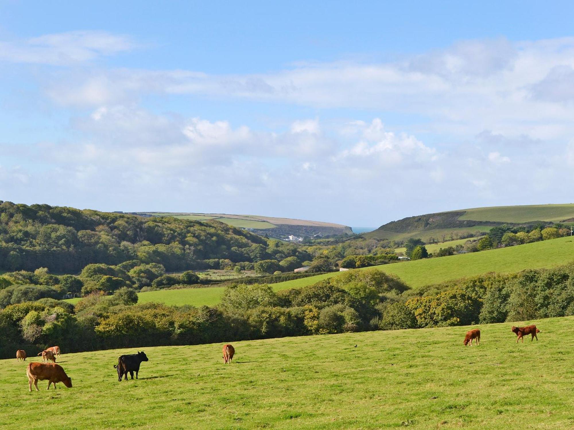 Merlin View St Mawgan Dış mekan fotoğraf